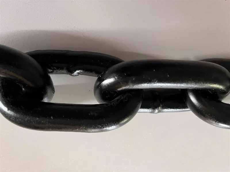 202312051520251 202312051520251